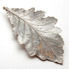 Sticker - leaf on a white background