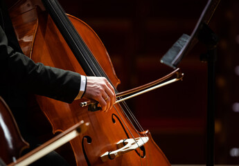 Wall Mural - The hand of a musician playing the double bass