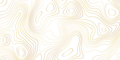 Poster - Abstract topographic map contour, white background and colorful wave lines pattern texture. geographic contour map grid backdrop paper texture. terrain path isolated on a background. 