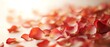 © Dreamphoto - Soft beige background with rose petal accents Valentine's day Background