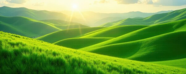 Wall Mural - Rolling hills of emerald grass, soft sunlight,  outdoor,  calm,  gentle