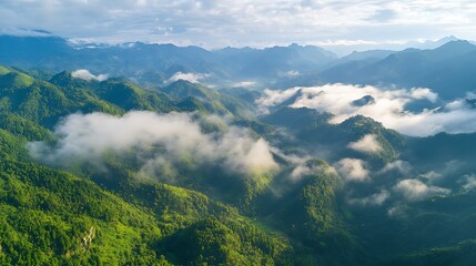 Canvas Print - Aerial view of misty green mountains.