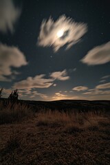 Wall Mural - night sky with clouds and full moon