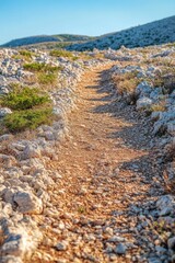 Poster - A dirt path winding through a rocky field with a natural landscape