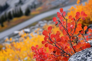 Poster - A close-up shot of a plant growing beside a road, perfect for use in environmental or travel-related contexts