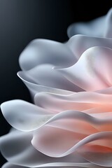Poster - Delicate white petals with soft peach glow create ethereal abstract macro composition against dark background, capturing gentle curves and translucent layers in fine art style.