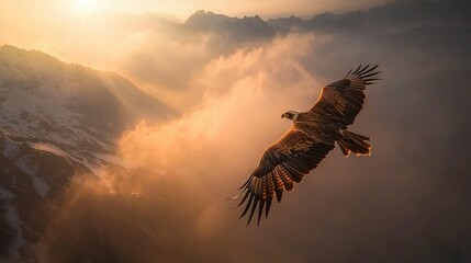Wall Mural - a majestic eagle soaring over a mountainous landscape, with fluffy white clouds beneath a radiant su