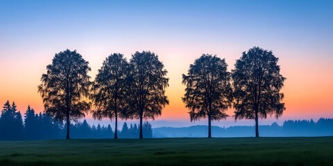 Wall Mural - Silhouetted trees at sunrise over a meadow