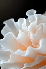 Poster - Soft white ruffled petals with gentle orange glow create abstract waves and curves, macro photography showcasing delicate natural textures and light gradients.