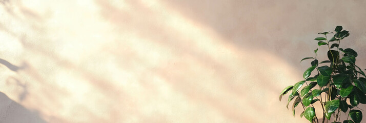 Poster - Elegant biscuit putty beige wall features subtle grunge texture and markings