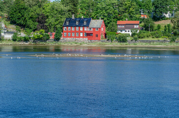 Wall Mural - Nidelva River in the city of Trondheim, Norway