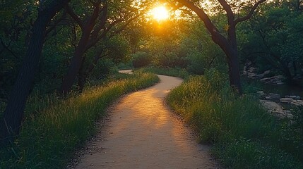 Canvas Print - Winding sunset path, nature trail, serene park