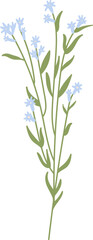 Wall Mural - wildflowers floral bouquet hand drawn