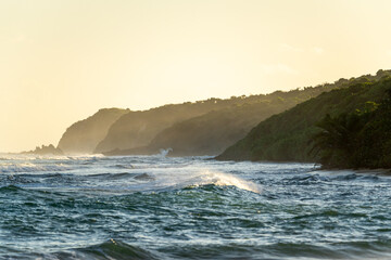 Waves Crashing at sunset onto the rugged lush coastline of Vieques, Puerto Rico.