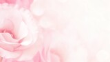 Banner for a website with a closeup view of pink eustoma flower. Soft pastel wedding background. Pink tulips on a turquoise background with copy space. Top view, banner for website.