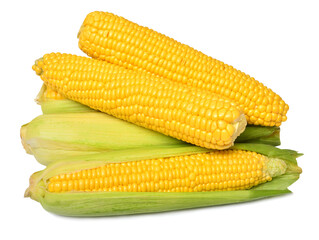 Fresh corn cob isolated on white background