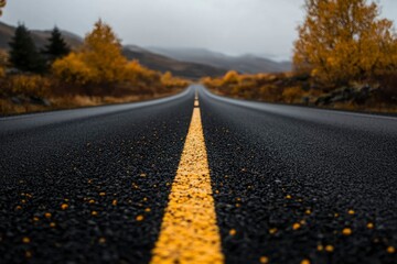 Wall Mural - Empty highway stretches through fall foliage in an autumnal landscape scene