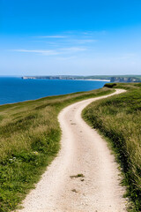 Wall Mural - Coastline path winds atop grassy cliffs to water's edge on sunny day for travel generative AI