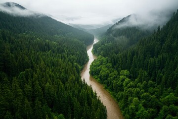 Wall Mural - Scenic river runs through a lush forest valley with mountains in the background