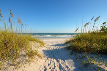 Poster - Sandy path leads to ocean, bright sunny day, relaxing vacation, summer ad