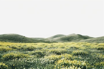 Wall Mural - Spring flowers bushes border landscape hills outdoors.