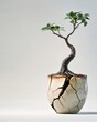 Resilience: A miniature bonsai tree thrives in a cracked ceramic pot, symbolizing strength, perseverance, and the beauty of imperfection.