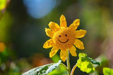 Yellow flower with a smiley face representing happiness in a natural outdoor setting