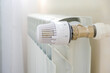 © Viktoriia M - The heat regulator on the radiator of the house.