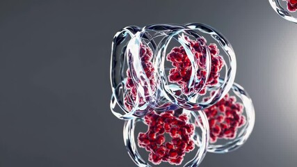 Fototapete - Microscopic view of floating biological cells with translucent membranes and red nuclei