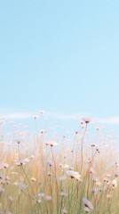 Canvas Print - Grass flower field grassland outdoors horizon.