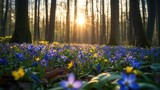 Spring forest background sunlight flowers trees.