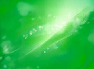 Wall Mural - soft green background with flowing lines and bokeh effect. a gentle, luminous and bright abstract de