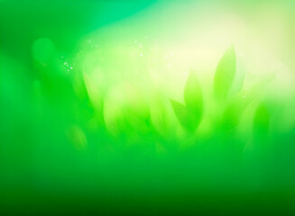 Wall Mural - abstract green background with soft light and blurred shapes evoking nature. gentle, luminous, and c