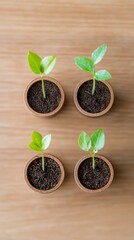 Leinwandbilder - Biophilic Financial Visualization Stacked Coin Graph with Growing Seedlings on Wood - Sustainable Investment Insights and Eco-Friendly Wealth Strategies