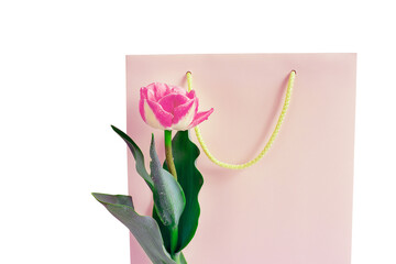 Wall Mural - gift pink paper bag and terry flowers of a pink tulip. Isolated on white background. Isolated on transparent. png format. copy space
