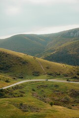 Canvas Print - Scenic view of rolling green hills with a winding road.