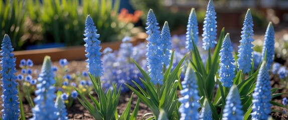 Poster - lush garden filled with vibrant blue flowers and green leaves during daytime with gradual depth of f