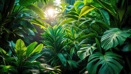Poster - lush tropical jungle foliage with sunlight filtering through leaves creating a vibrant green backgro