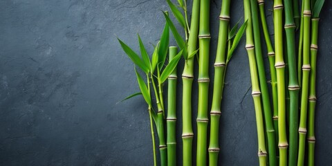 Poster - vertical arrangement of bamboo stalks on a textured dark background with leaves and copy space for t