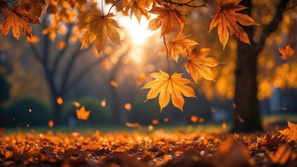 Poster - Autumn leaves falling from trees during sunset in a park with warm light and blurred background Copy Space