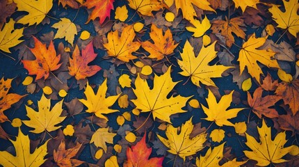 Poster - Autumn leaves in various colors scattered on the ground creating a vibrant natural background with Copy Space for text placement