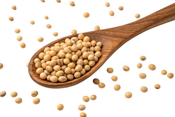 Wall Mural - soybeans in wooden spoon on isolated on transparent background png