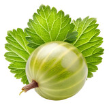 one gooseberry  isolated on transparent background png