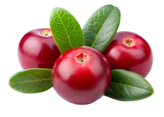 Wall Mural - red cranberrie isolated on transparent background png
