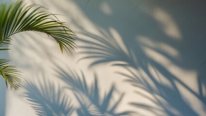 Poster - Shadows of palm leaves on a smooth light-colored wall creating a natural abstract pattern with copy space for text.