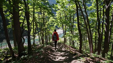 Aufkleber - Exploring a serene forest trail along a river in bright sunlight, surrounded by lush green trees