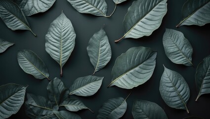 Poster - green leaves scattered on dark background with variety of shapes and textures copy space