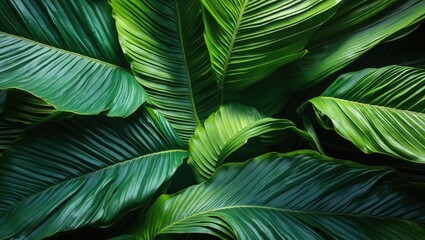 Poster - Close-up of lush green tropical leaves with detailed textures and patterns suitable for nature-themed backgrounds Copy Space
