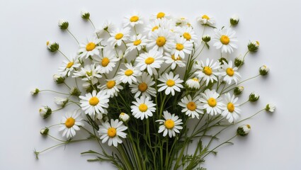 Poster - White daisies bouquet with yellow centers displayed on a light background providing ample Copy Space for text placement