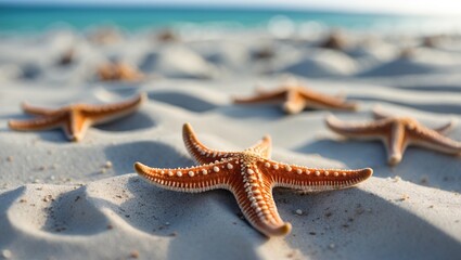Poster - Starfish on Sandy Beach with Ocean Background during Daylight Copy Space
